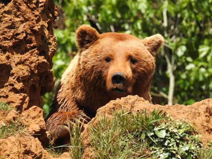 Los Rosales Ампуеро Екстер'єр фото